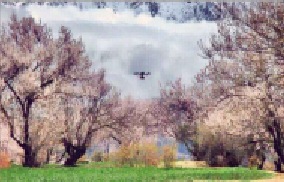 1.pic_