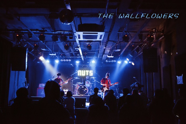 The Wall Flower
