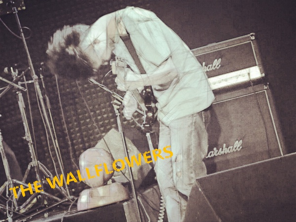 Wall Flower – I Said Nothing W/ You Caught My Eye